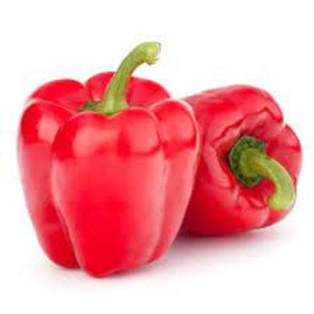 Fresh Red Capsicum for sale in Karachi - Akhtar Sabir Fresh